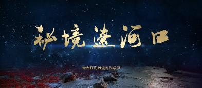 有wifi信号时 手机需要开启数据连接吗——即时问答,快速解答您的疑问
